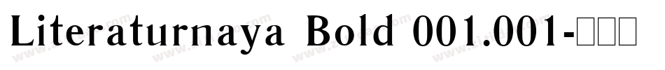 Literaturnaya Bold 001.001字体转换